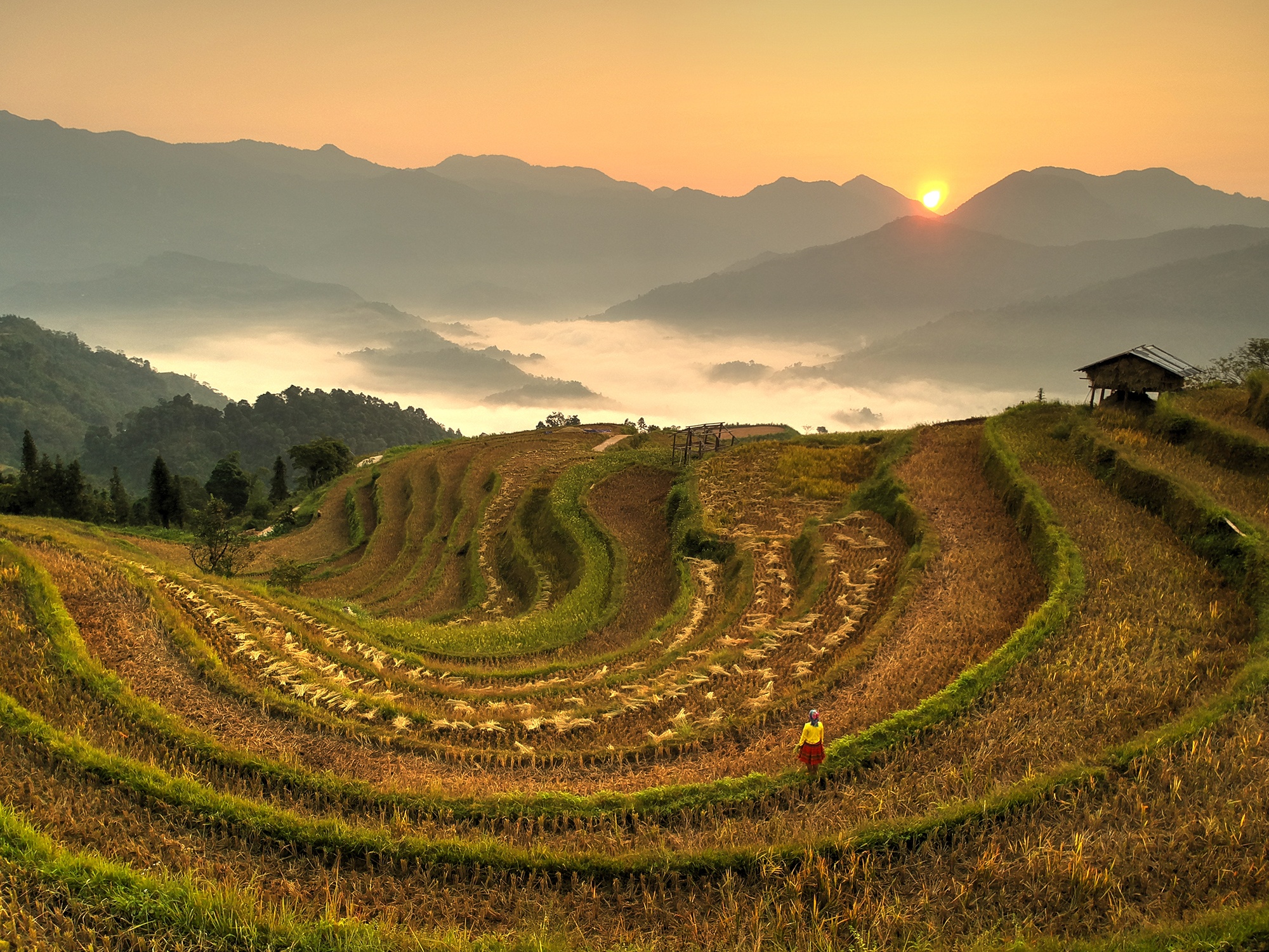 Ve dep Hoang Su Phi anh 1