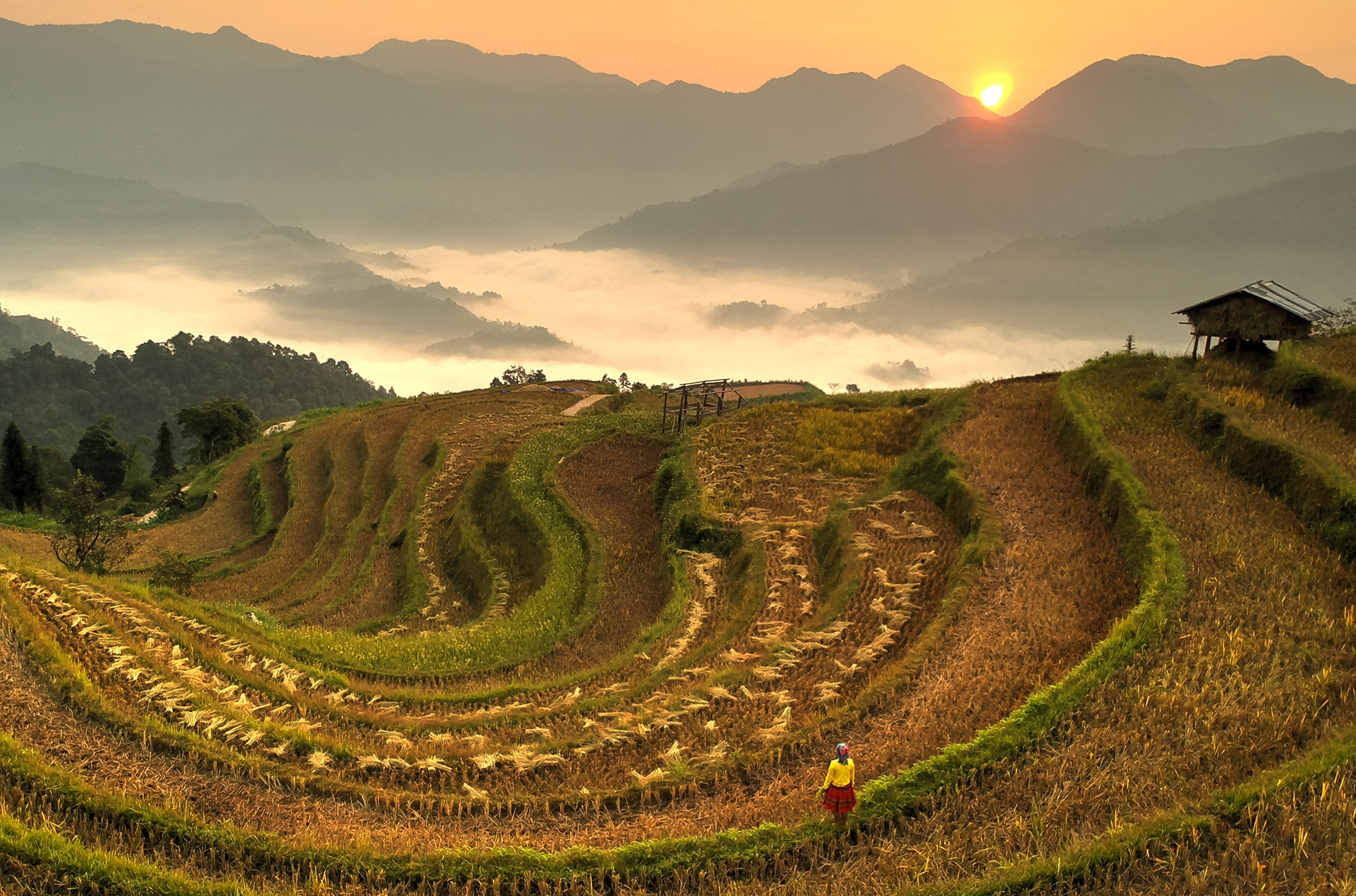 Chang trai 10 lan den Hoang Su Phi viet 'Chuyen tinh cua nui' hinh anh