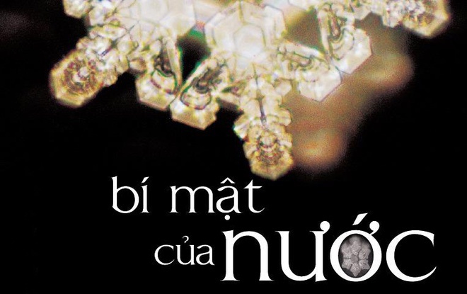 Cuon sach vao de thi tot nghiep THPT 2021 mon Ngu van hinh anh