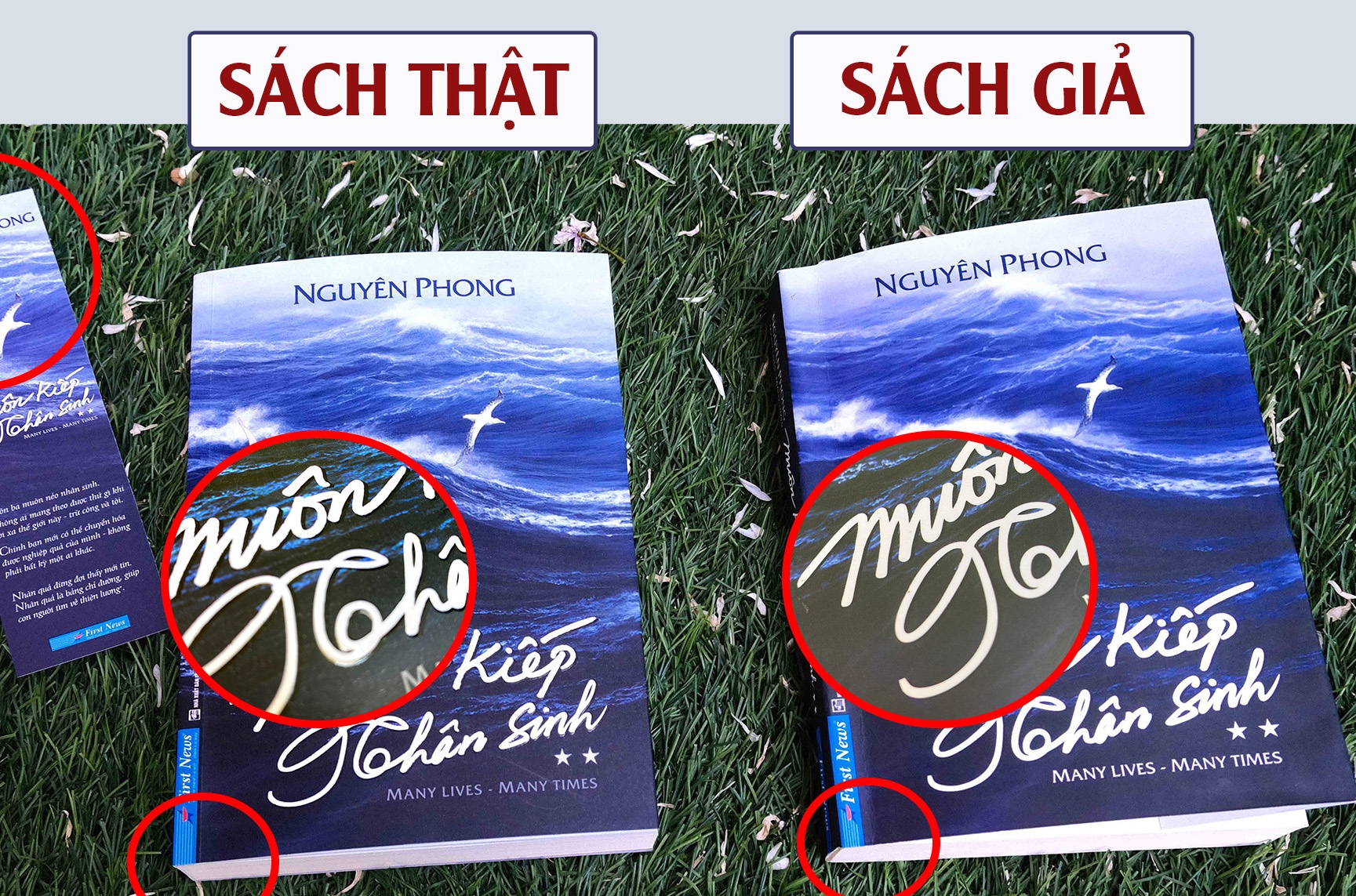 Sach gia 'Muon kiep nhan sinh' duoc ban cong khai tren mang hinh anh