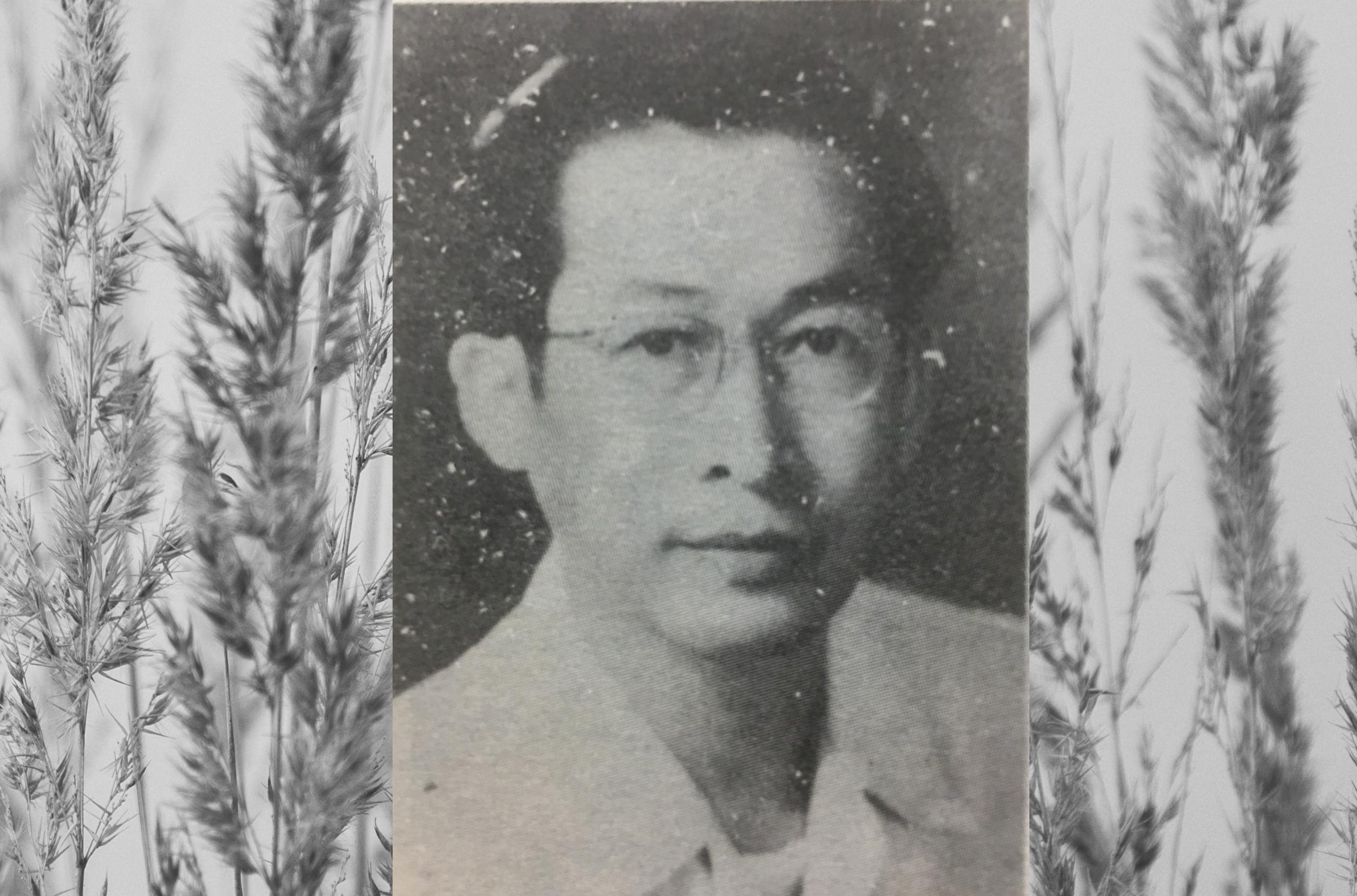 Ban linh cua Nhi Ca hinh anh