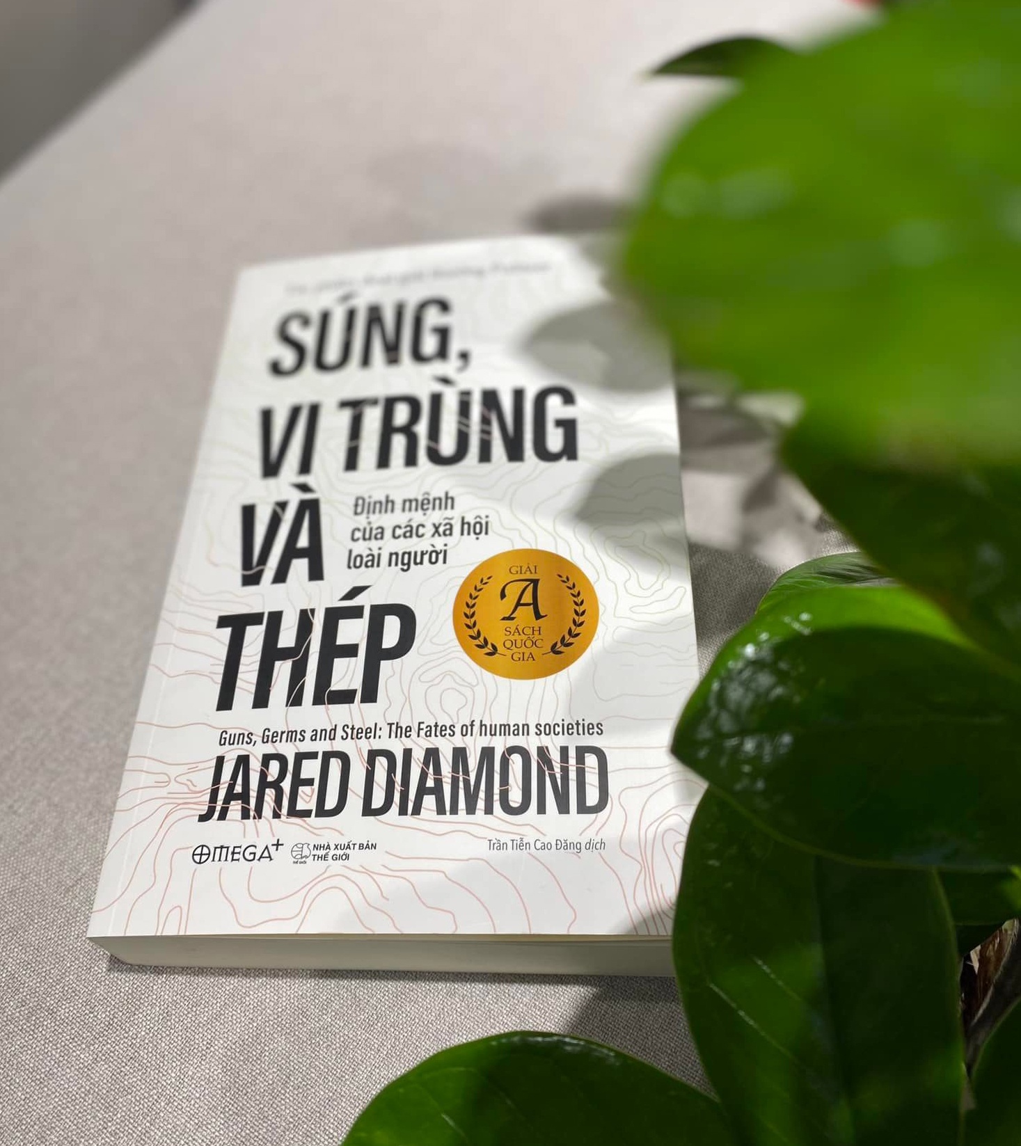 Sung vi trung va thep anh 3