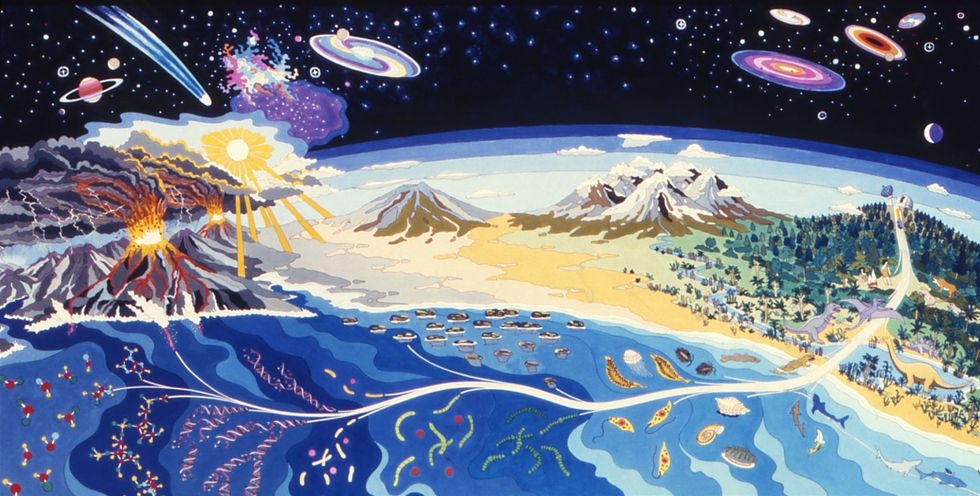 Stephen Hawking noi ve nhung moi de doa cua su song hinh anh