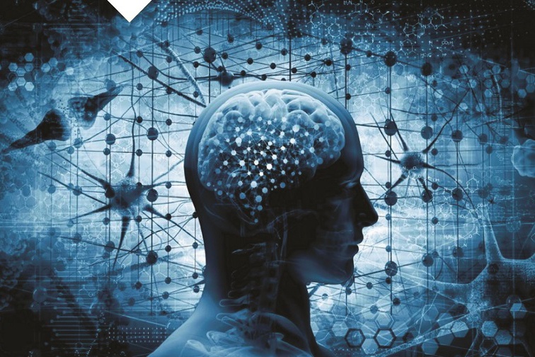 Doi song con nguoi trong thoi dai tri tue nhan tao hinh anh