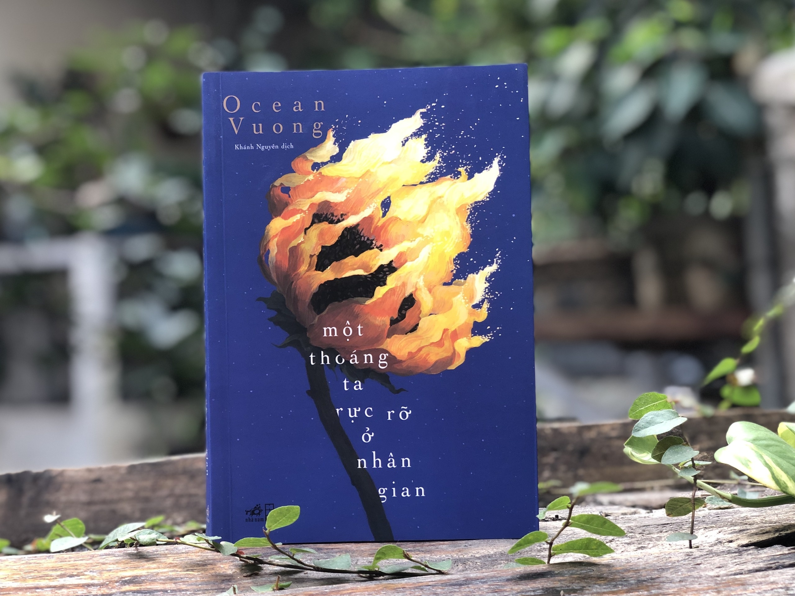 Ocean vuong noi ve sang tao anh 2