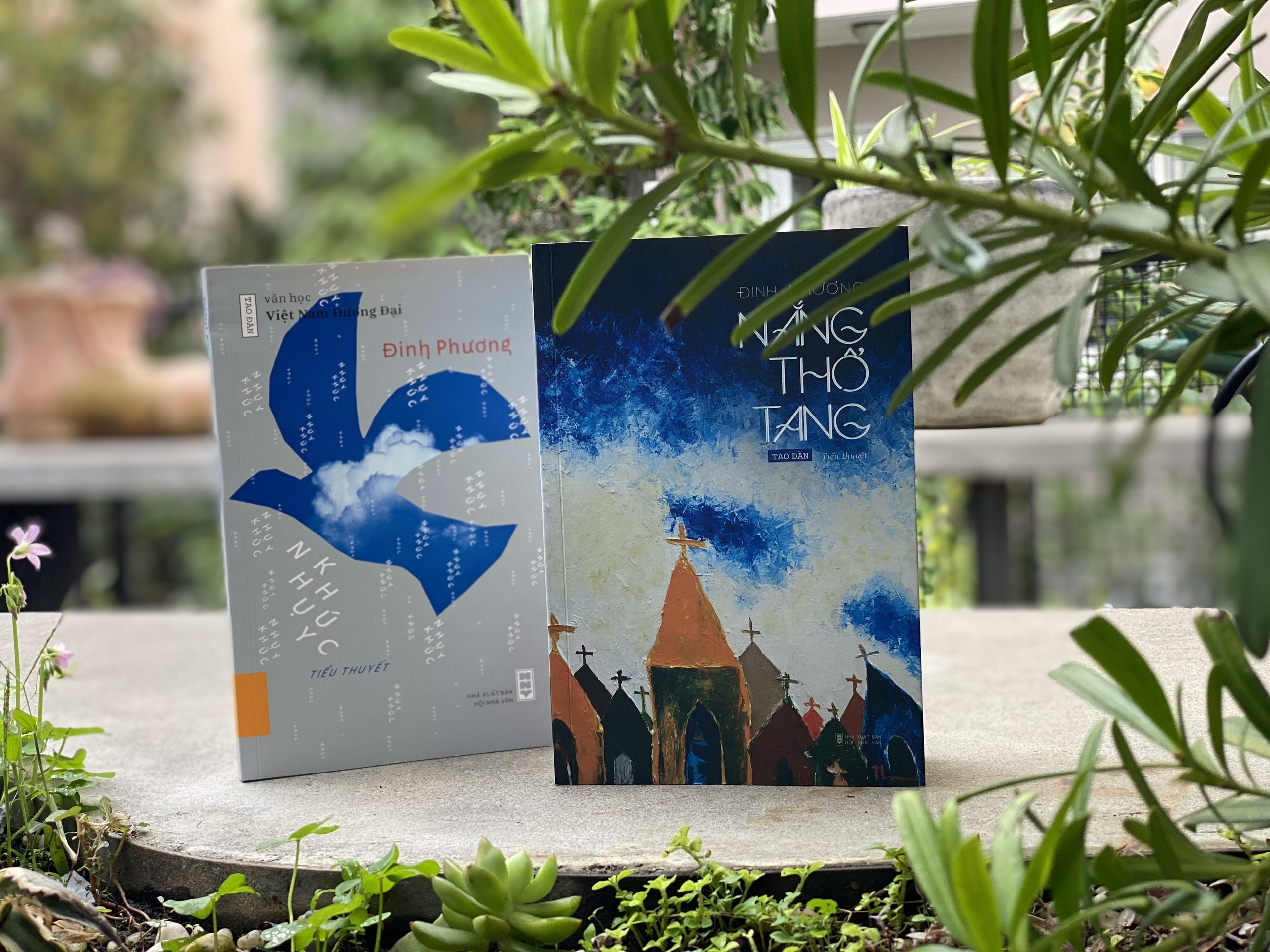 Giai thuong cho cay but tre anh 2