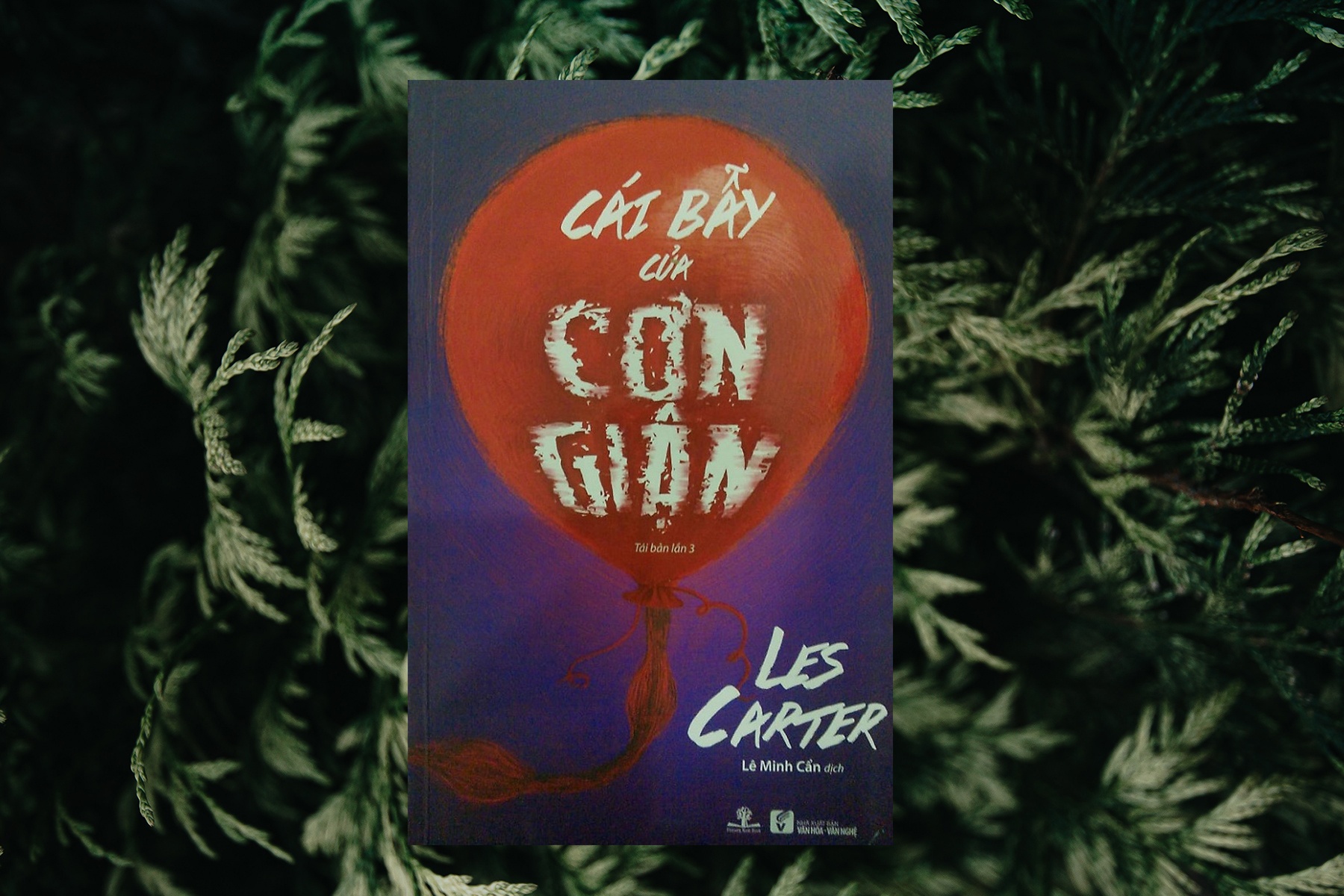 Che ngu con gian anh 3