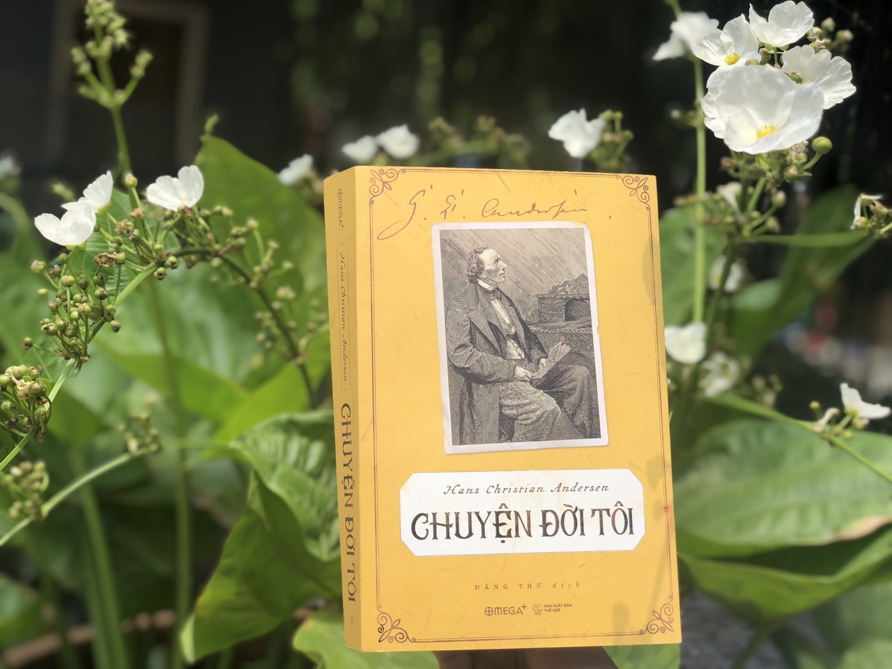 Chuyen di phuot chau Au cua Andersen hinh anh