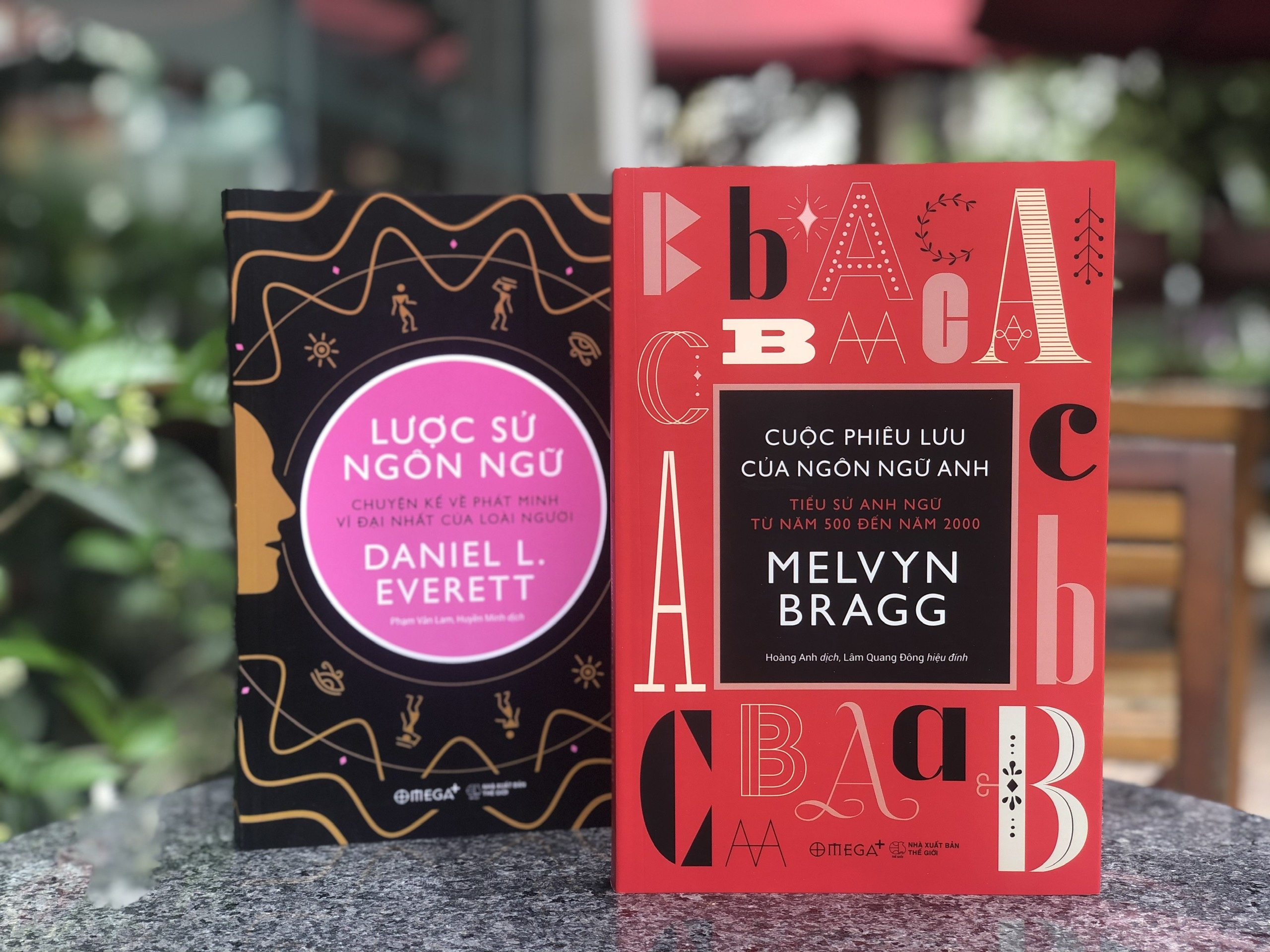 Su phong phu va ve dep cua ngon ngu hinh anh