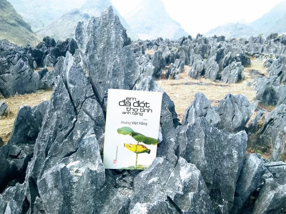 Hoang Viet Hang anh 2