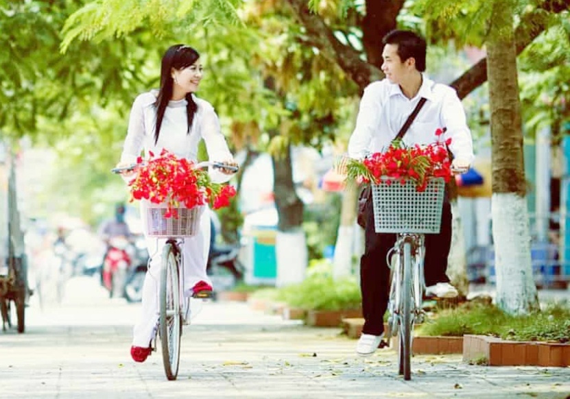 Vi sao truong hoc hay trong phuong? hinh anh