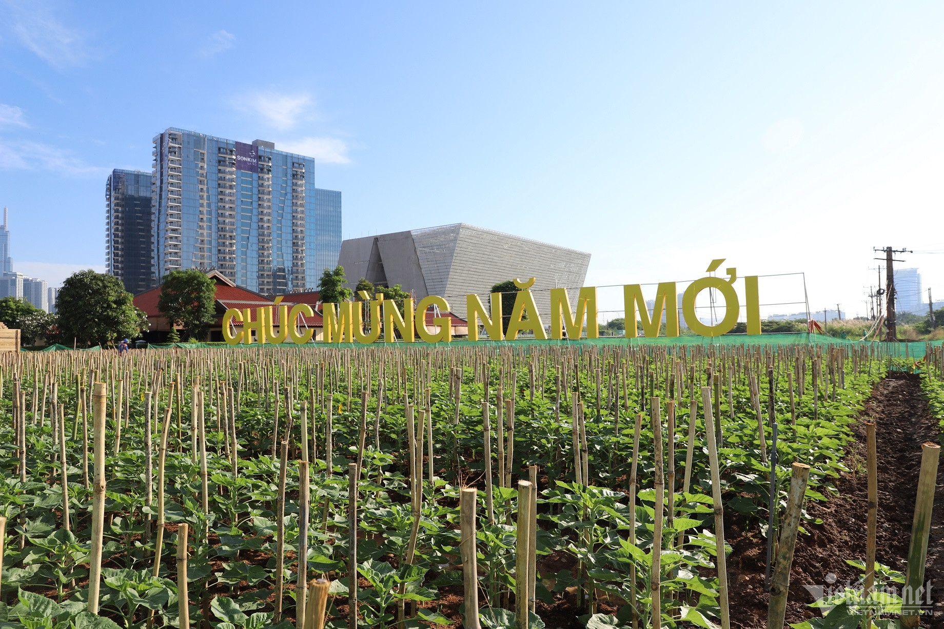 Ven song Sai Gon anh 2