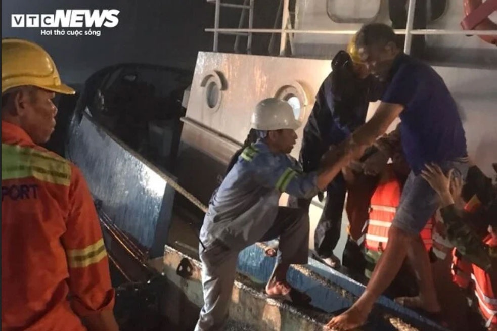 Chim tau tren bien anh 1