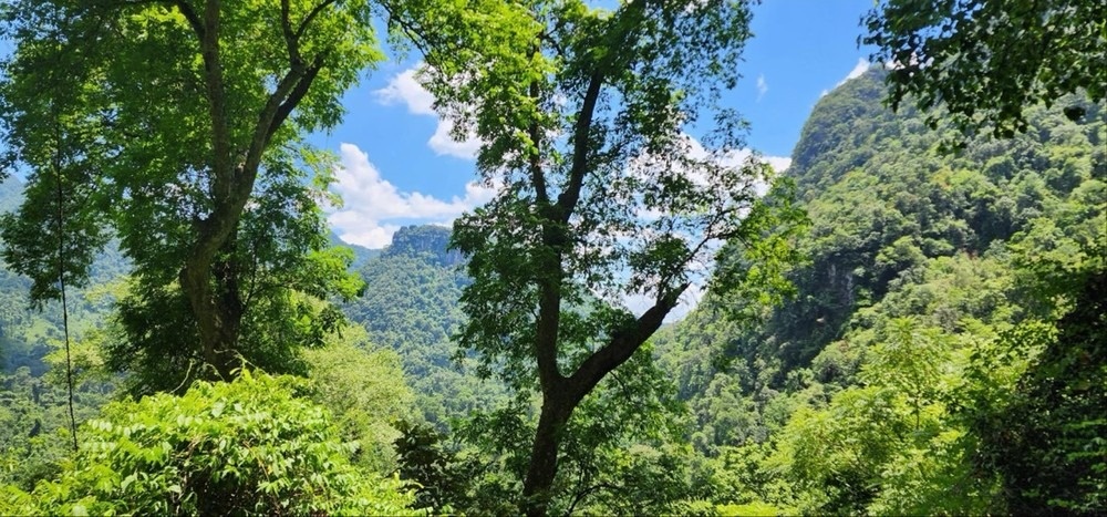 Quang Binh: Lan dau tien ban 'khong khi' thu ve hon 80 ty dong hinh anh