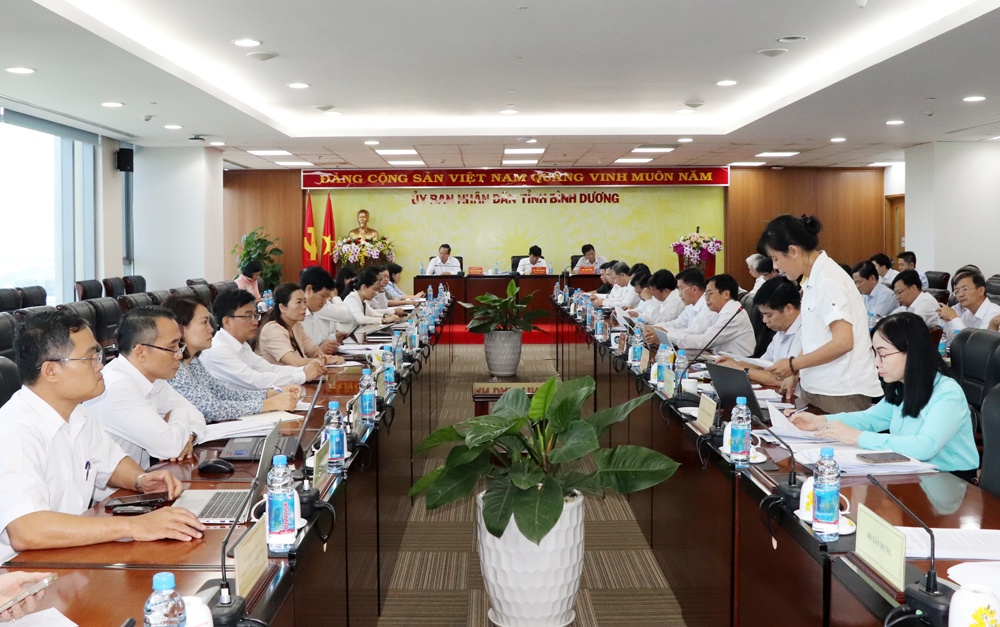 Binh Duong phan dau thu hut von FDI dat 1,8 ty USD hinh anh