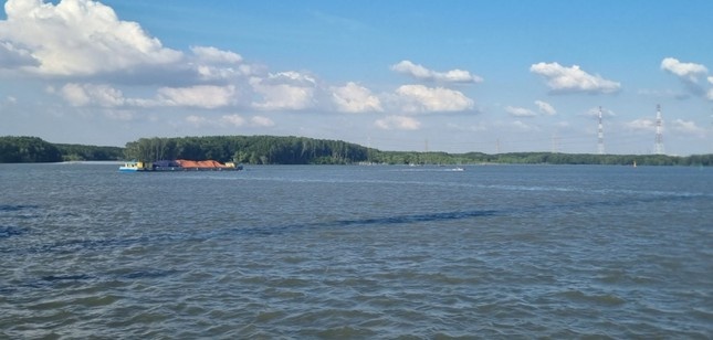 Giam doc Cang vu Duong thuy noi dia Dong Nai xin nghi huu som hinh anh