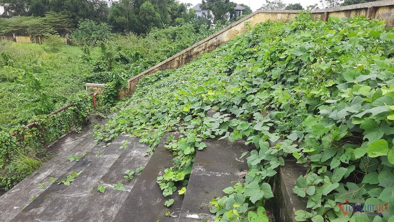 San van dong bo hoang anh 3