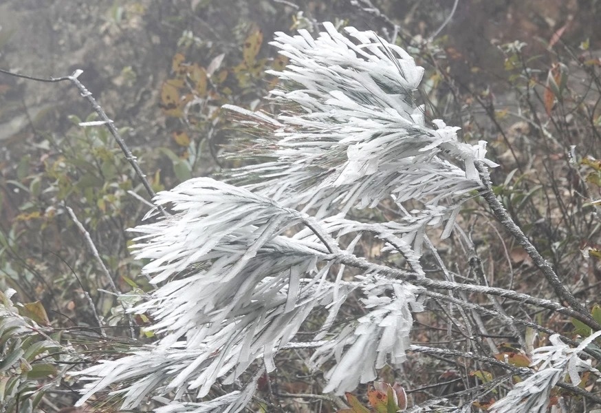 Thu tuong yeu cau chu dong phong, chong ret dam, ret hai keo dai hinh anh