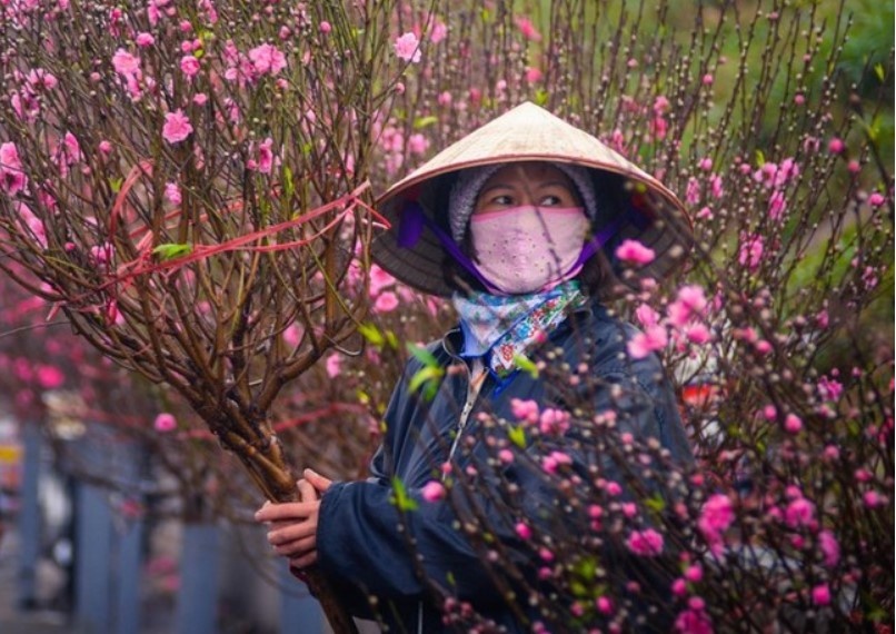 Ha Noi to chuc cho hoa Xuan tai 83 dia diem dip Tet Nguyen dan hinh anh