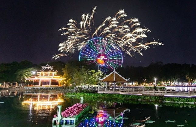 TP.HCM tang them nhieu diem ban phao hoa dip Tet Giap Thin hinh anh