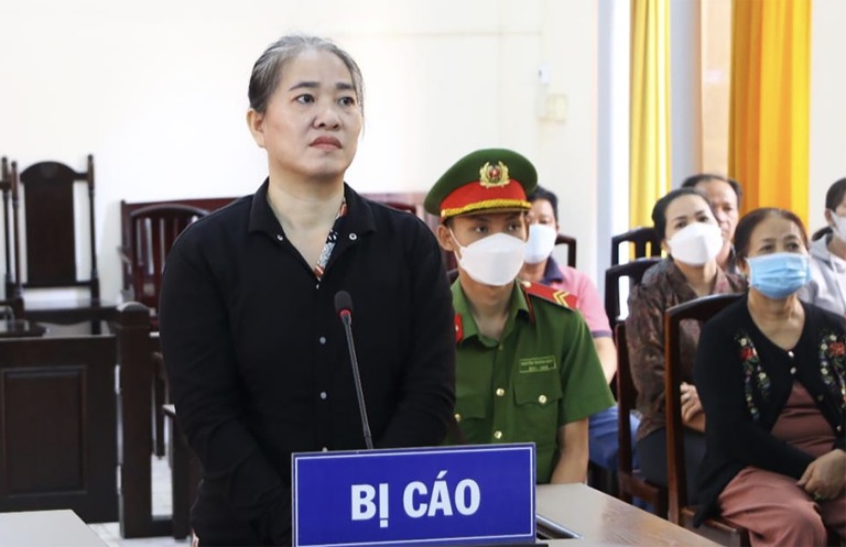 Nguoi phu nu lap 14 day hui, chiem doat hon 1,5 ty dong hinh anh