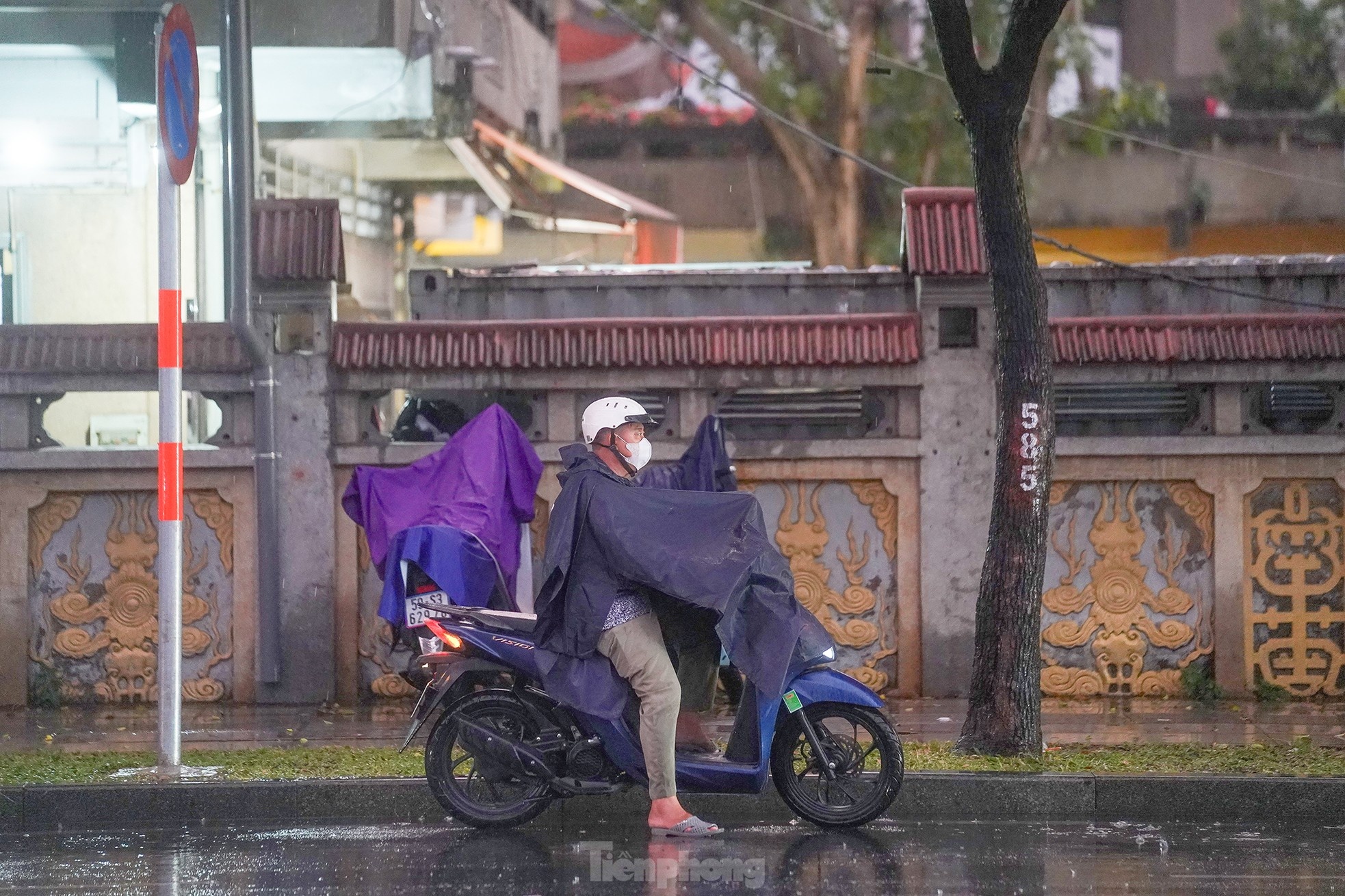 Mua lon trai mua anh 1