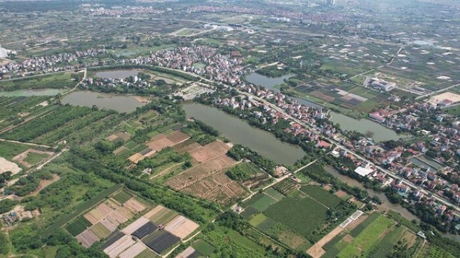 Trung dau gia 4,2 ty dong/m2 xin rut coc vi 'ghi nham' hinh anh