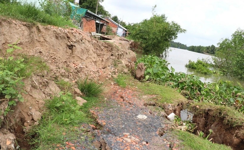 Cong bo tinh huong khan cap su co sat lo bo song o Tra Vinh hinh anh