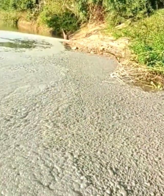 o nhiem nuoc song be anh 1