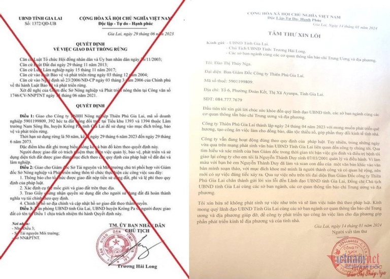 Tim ra nguoi gia mao Chu tich tinh Gia Lai giao 392 ha dat rung cho DN hinh anh