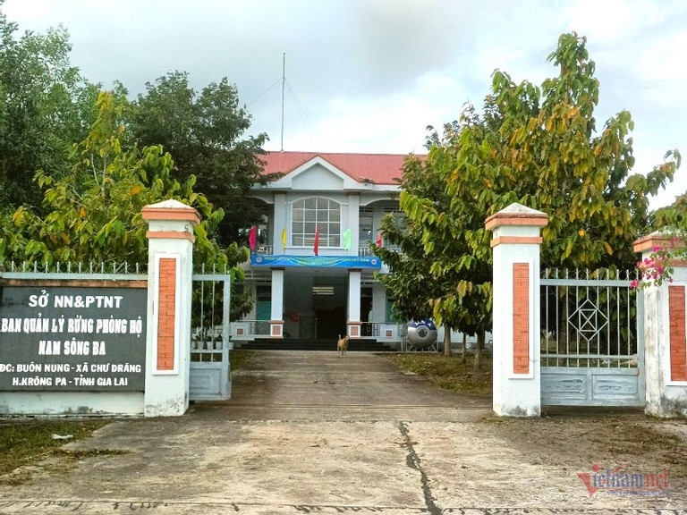 gia mao chu tich tinh anh 2