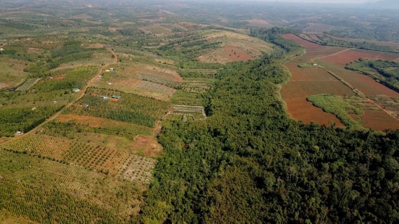 Hon 400 ha rung tu nhien cua Cong ty Co phan Basaltstone bi xoa so hinh anh