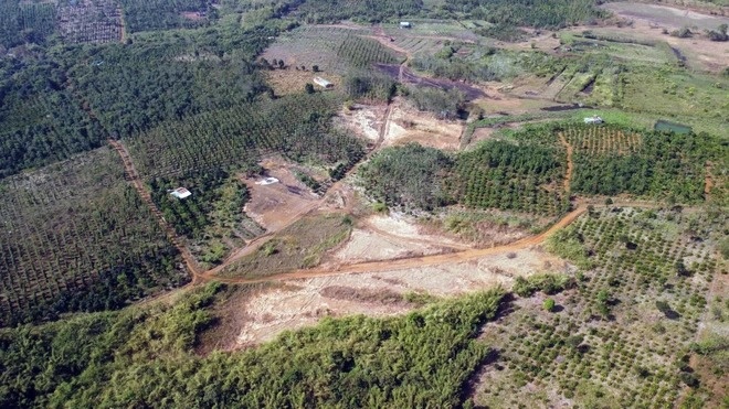 xoa so 400 ha rung anh 2