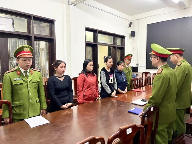 Công ty Dê Núi  ảnh 1 Cong ty De Nui anh 1
