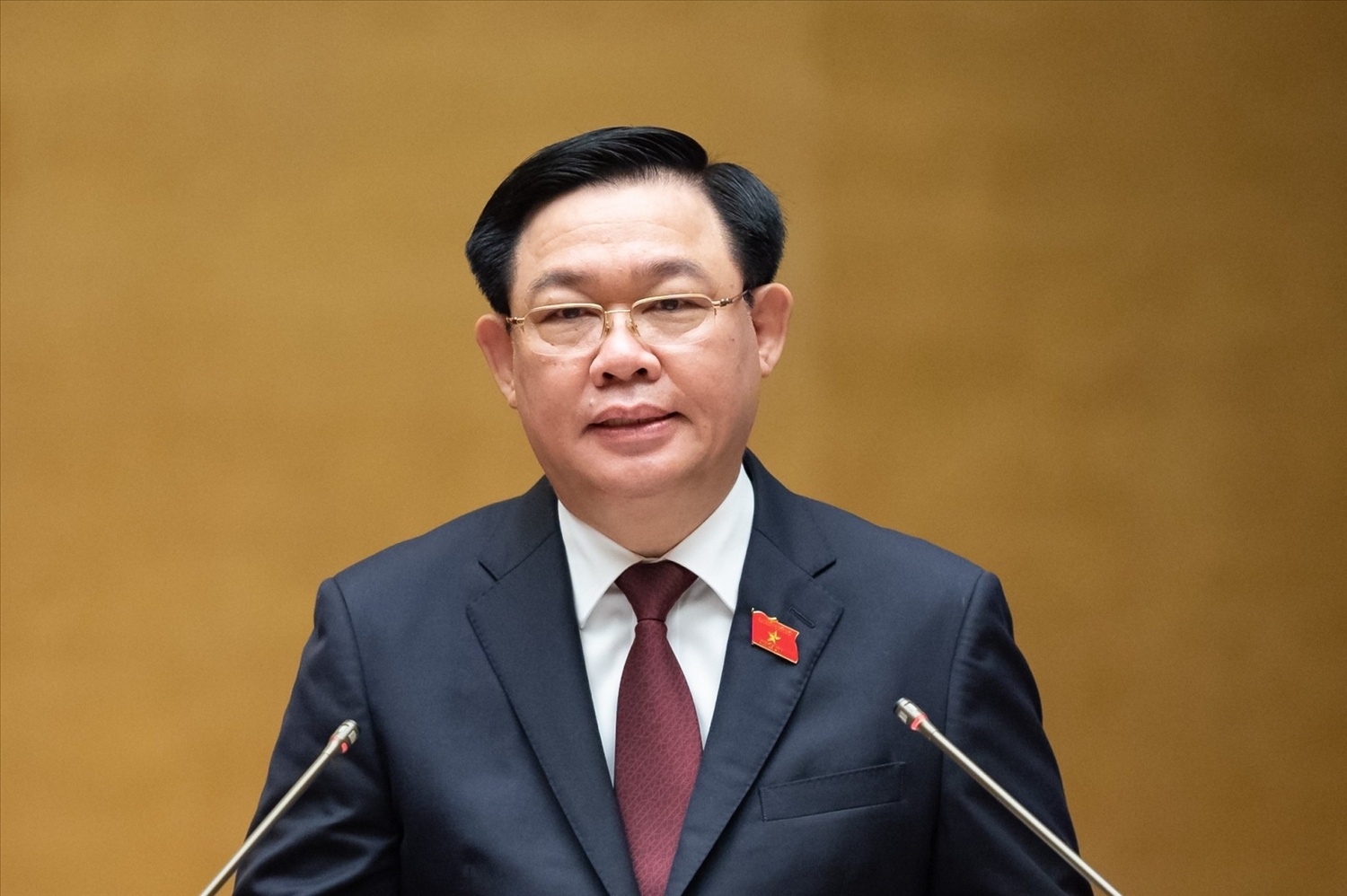 Dau an dam net cua Quoc hoi vi nhan dan, vi dat nuoc hinh anh