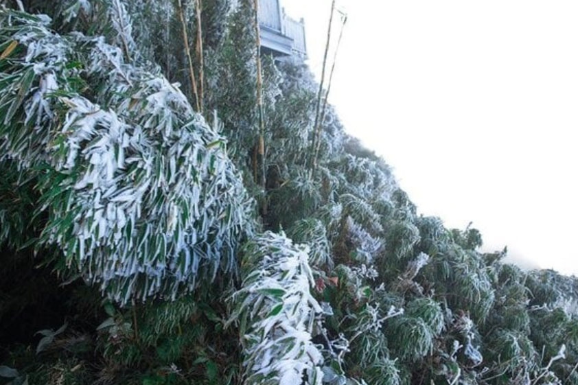 Canh bao thoi tiet nguy hiem o Bac - Trung Bo tu dem 21/1 hinh anh