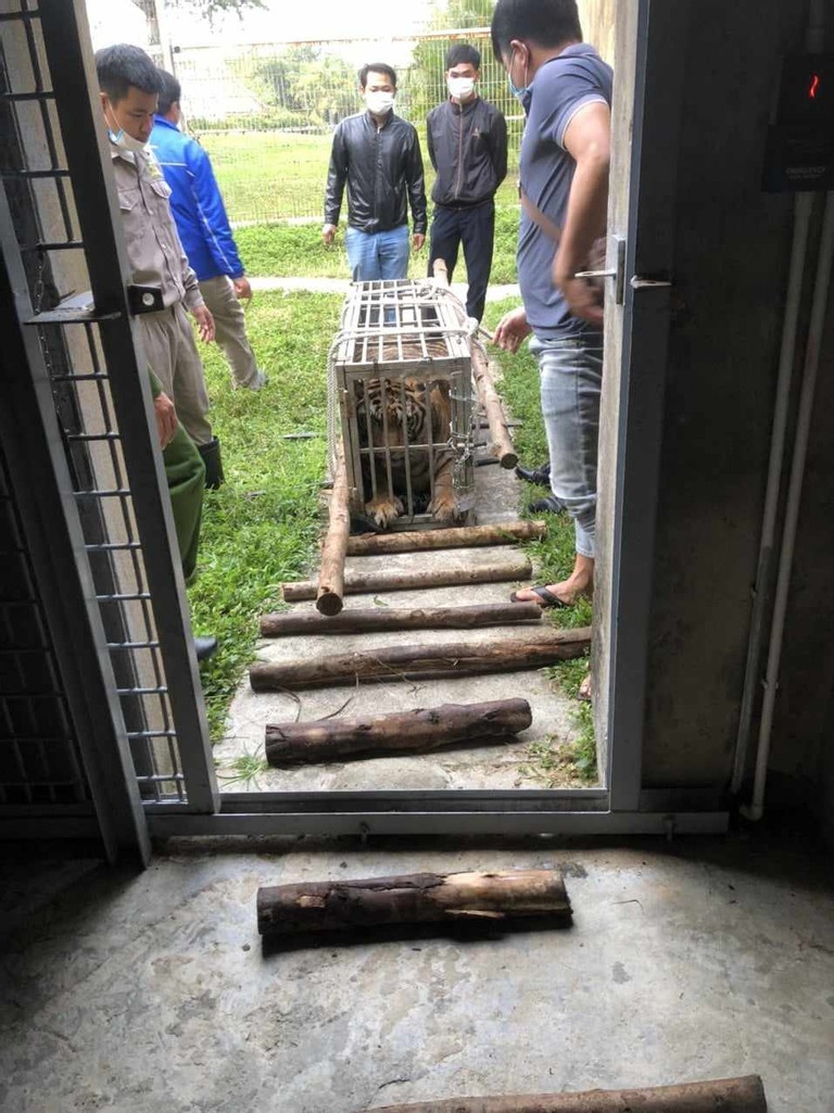 oto cho ca the ho anh 2