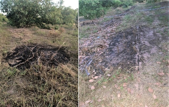 chay lon o Dak Lak anh 2