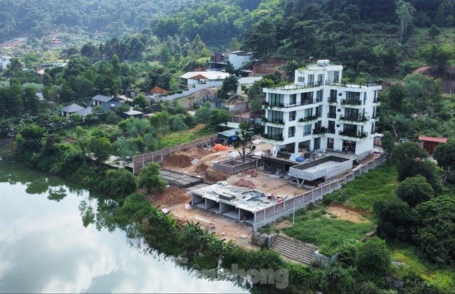 Quan ly dat rung Soc Son - Ha Noi: Ra soat hien trang, xu ly vi pham hinh anh