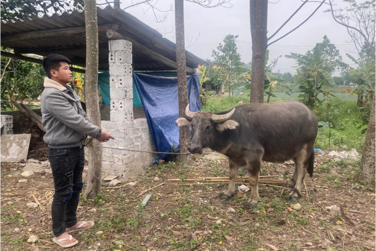 Dao tac tu dat trau toi don cong an dau thu hinh anh