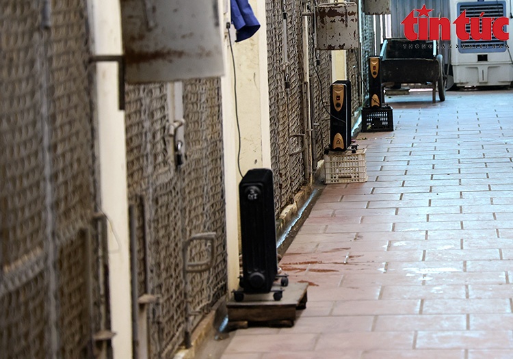 khi gay tro xuong anh 2