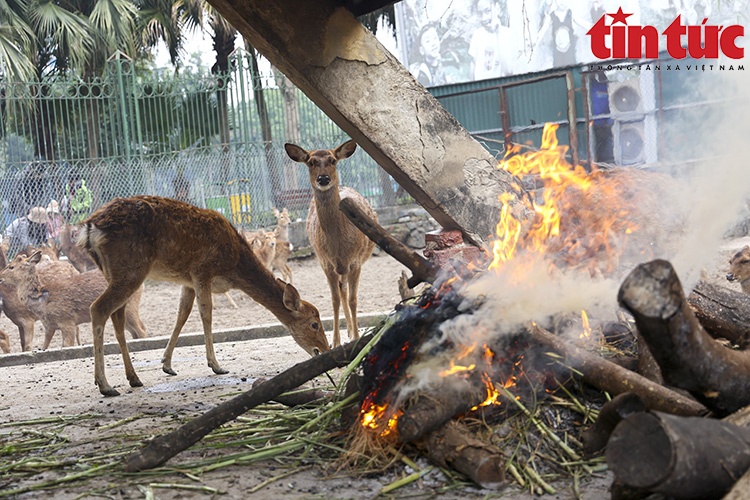 khi gay tro xuong anh 3