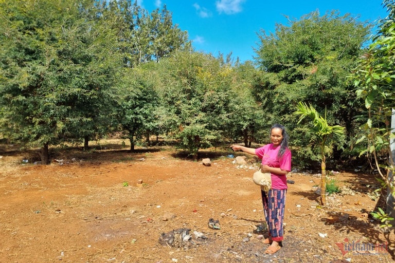 Sau con sot dat chua tung co, gan 100 nguoi bi 'lac' so do, mat dat hinh anh