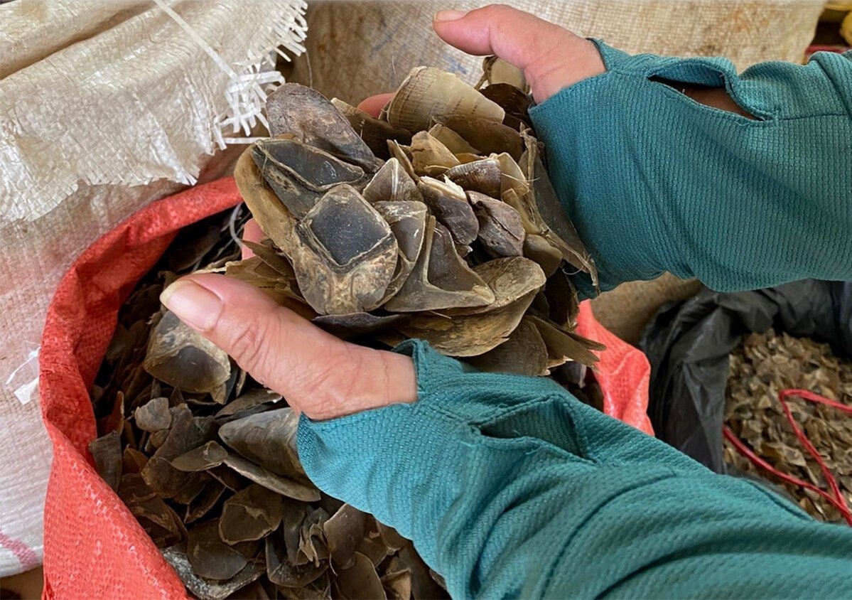 Con re va me vo mua ban vay te te tri gia hon 14 ty dong hinh anh