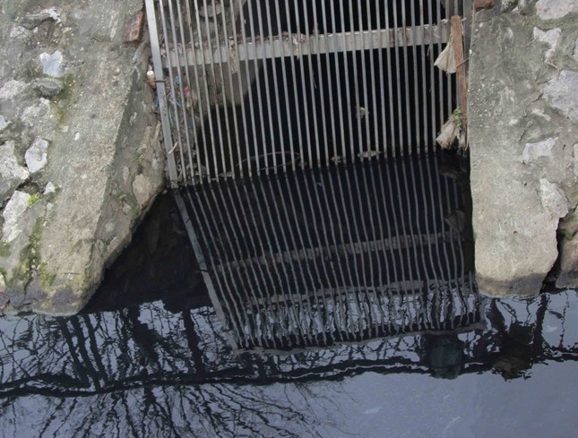 ca chet hang loat anh 3