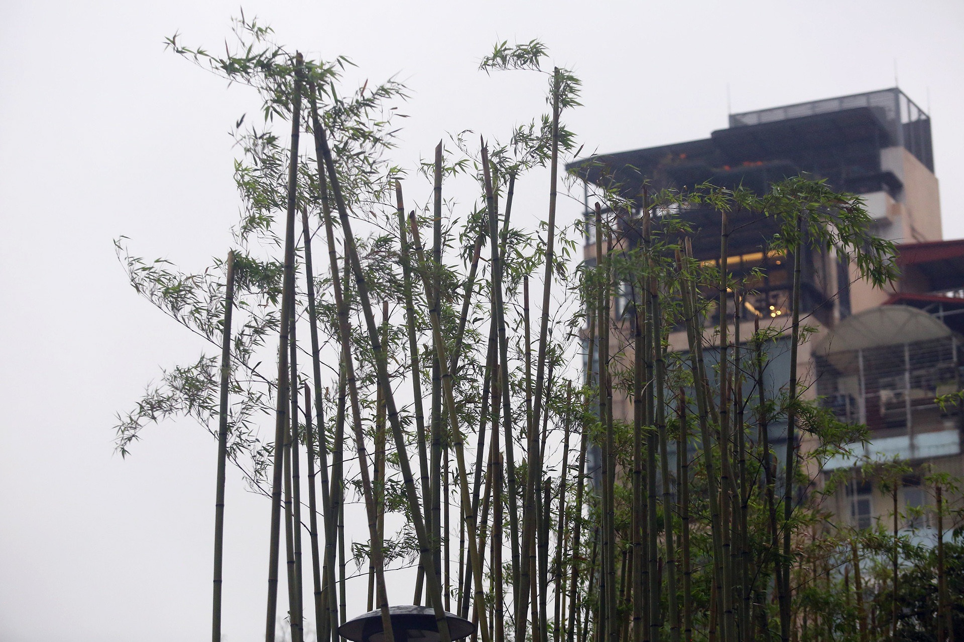 net xua ho Truc Bach anh 3