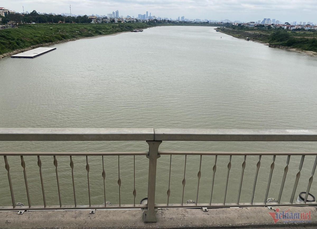 4 me con nghi nhay cau Dong Tru duoc tim thay o que hinh anh