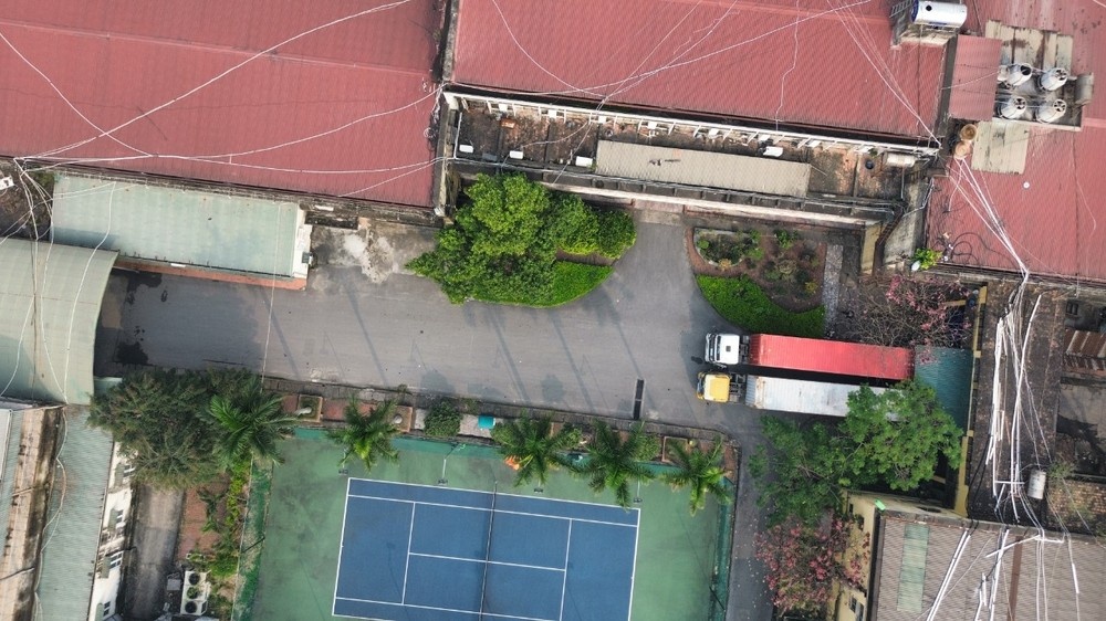 Cao su Sao vang anh 3