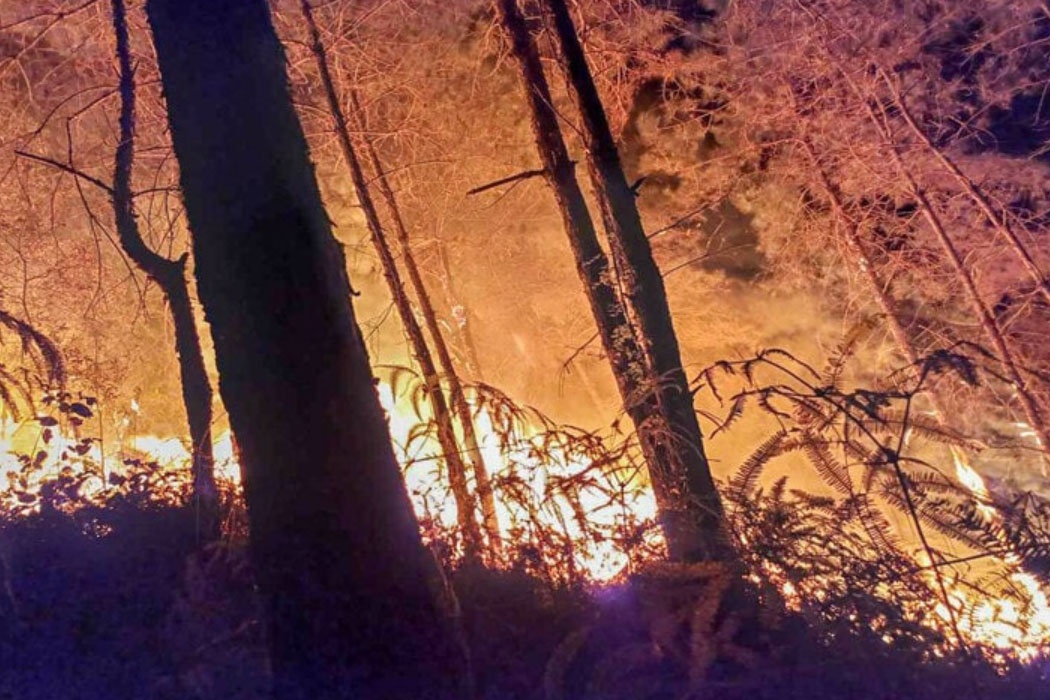 Huy dong gan 500 nguoi dap tat dam chay gan 3 ha rung o Yen Bai hinh anh