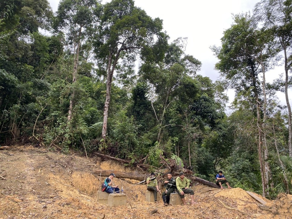 Yeu cau dieu tra vu pha rung lam duong day tai dien Thuy dien Tr’Hy hinh anh